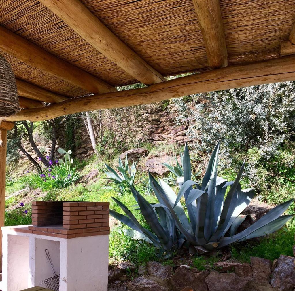 Cortijo La Vinuela Villa Atalbeitar Eksteriør bilde