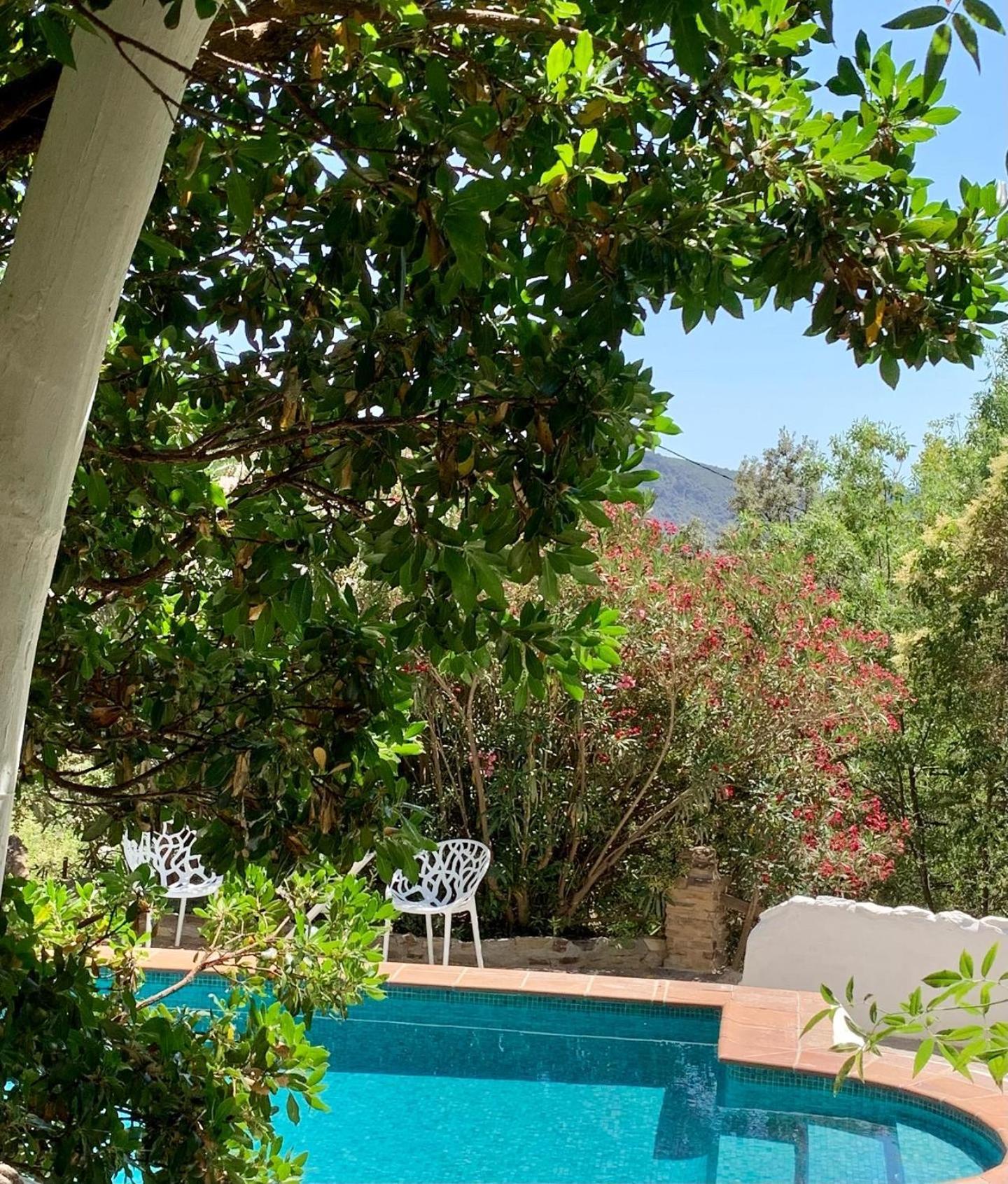 Cortijo La Vinuela Villa Atalbeitar Eksteriør bilde