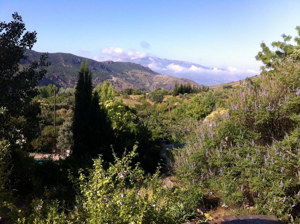 Cortijo La Vinuela Villa Atalbeitar Eksteriør bilde